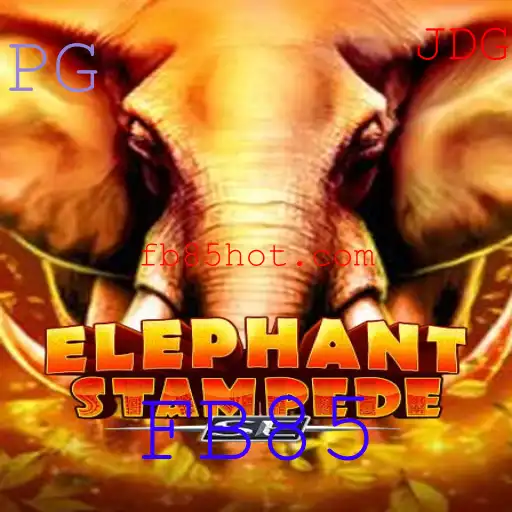 Explorando o Mundo de ElephantStampedeSE